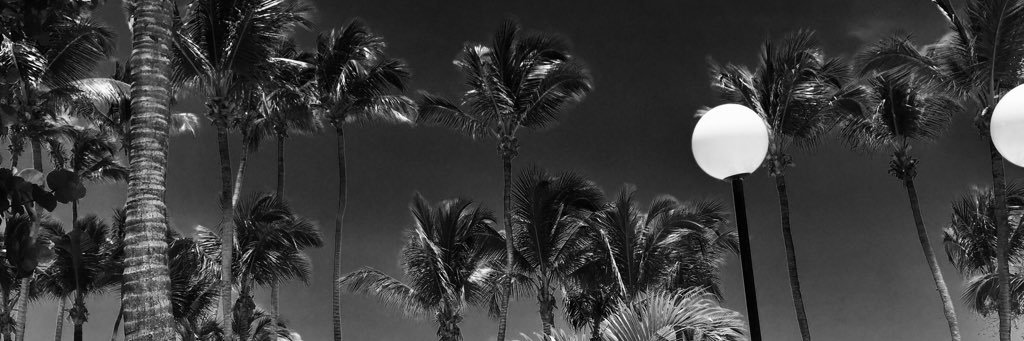 Crista51's profile banner image