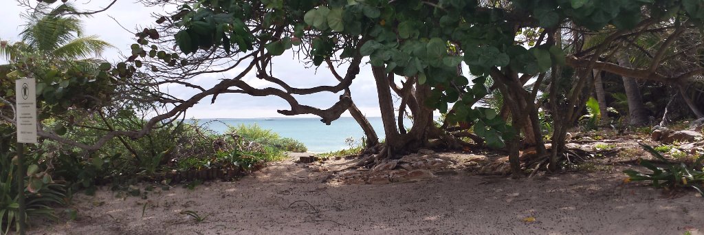 S_TRAVEL's profile banner image