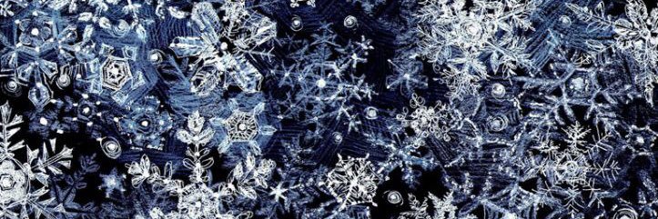 snowflake2609's profile banner image