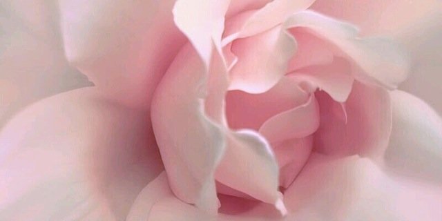 Hajer_85's profile banner image