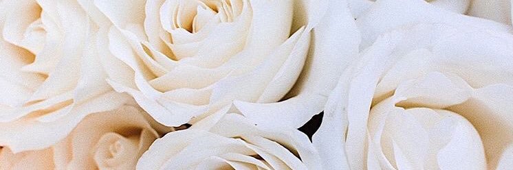 _aiko's profile banner image