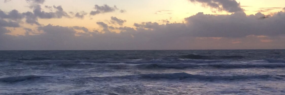 federicohoff's profile banner image