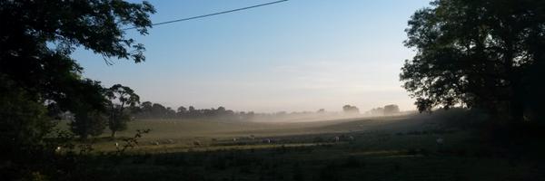 npevans1 Profile Banner