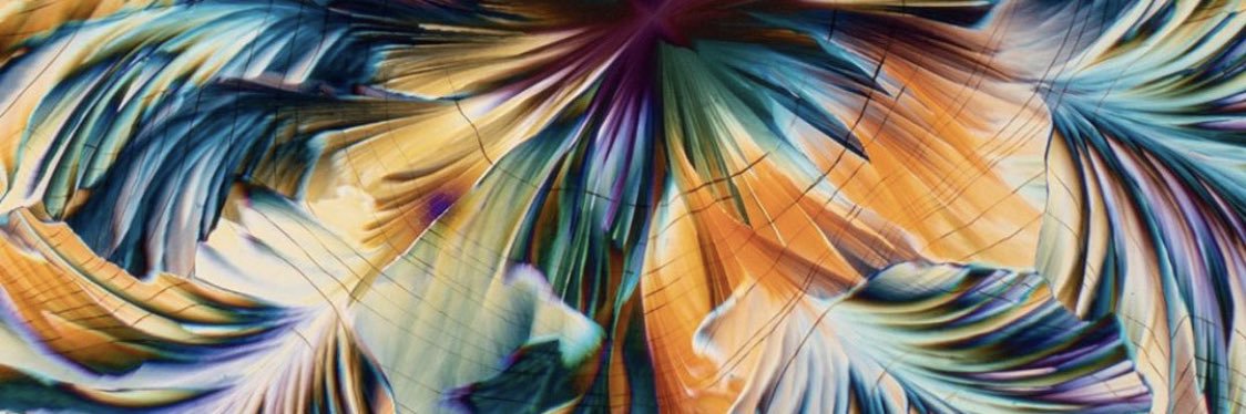 Fiolene's profile banner image