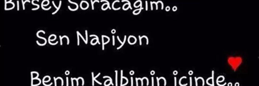 CaneCan11's profile banner image