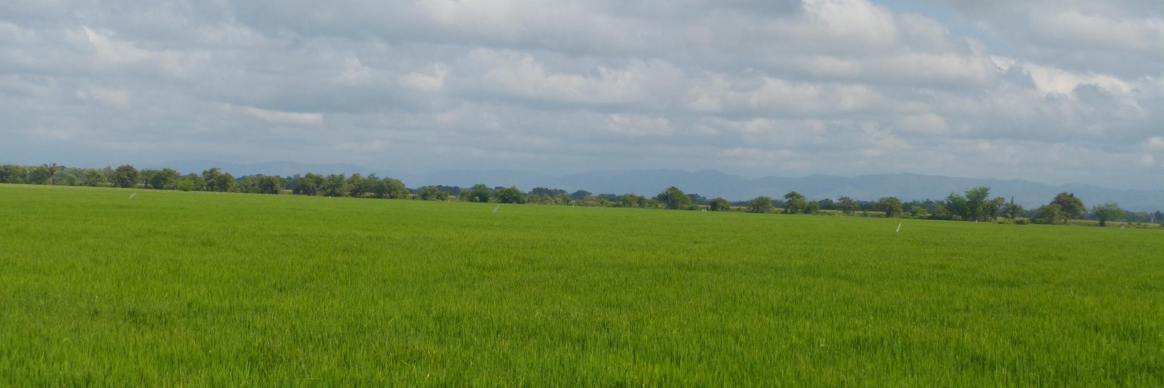 AgroContacto's profile banner image