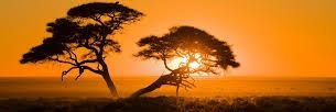 kudzai_28's profile banner image