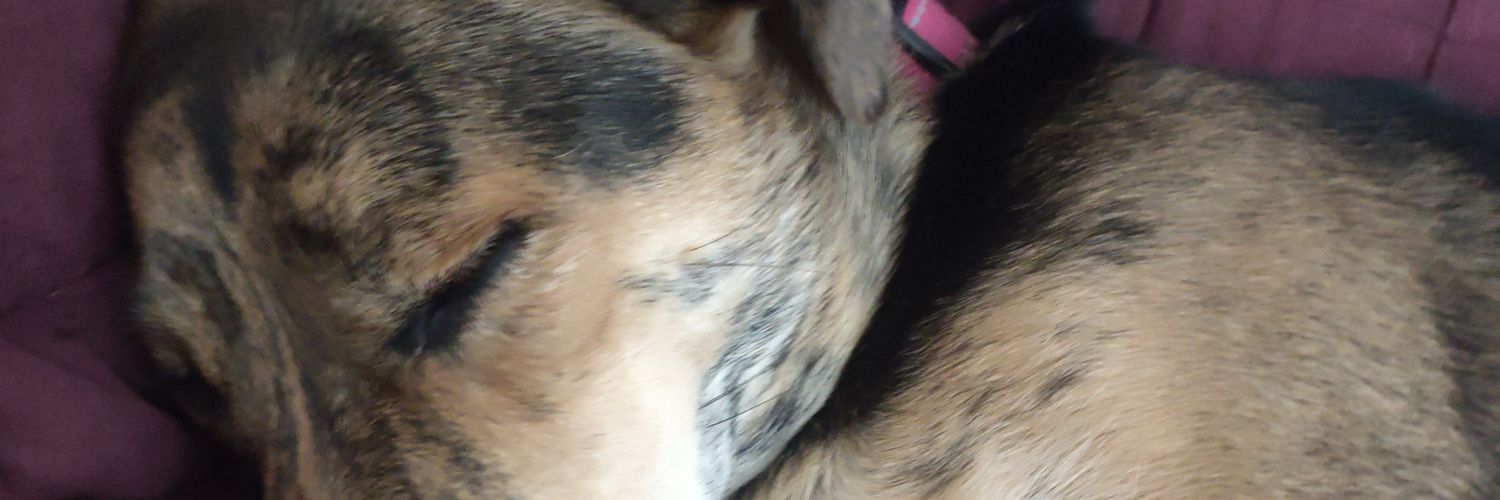 Chase_Dean's profile banner image