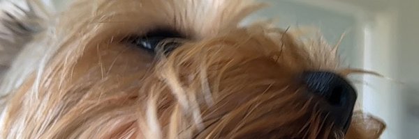 evreyday_ Profile Banner