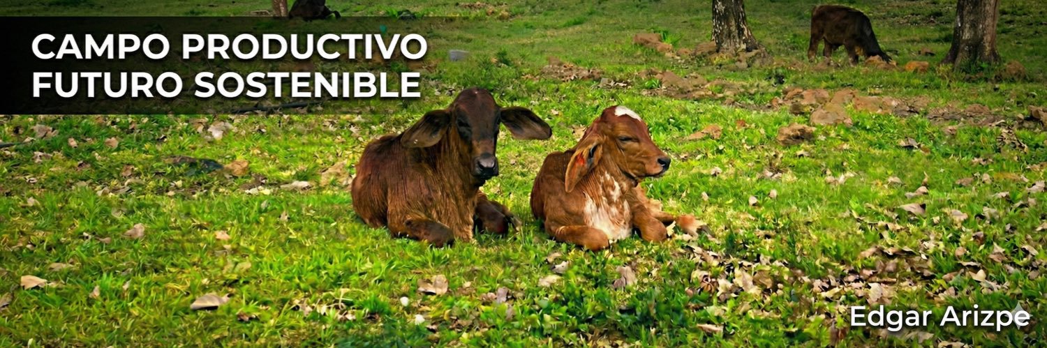 ecarizpe's profile banner image
