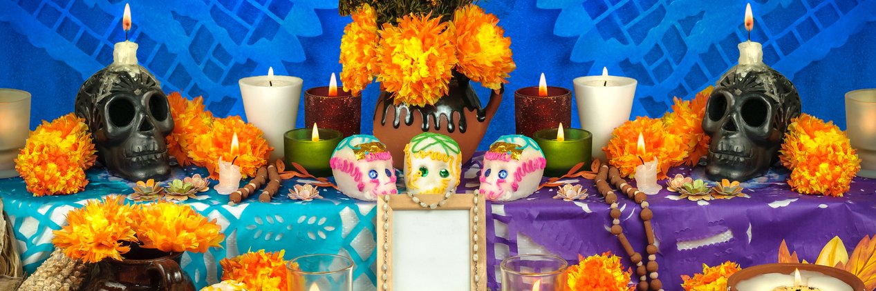 CCILARA's profile banner image