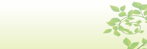 satomi8429's profile banner image