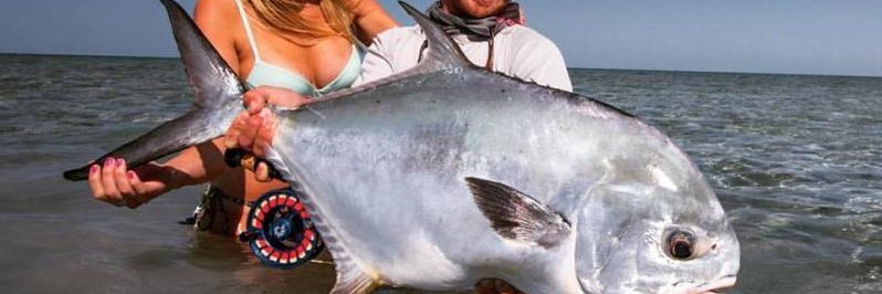 FishingTweets's profile banner image