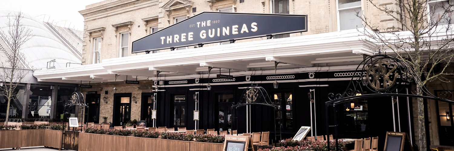 Three Guineas banner