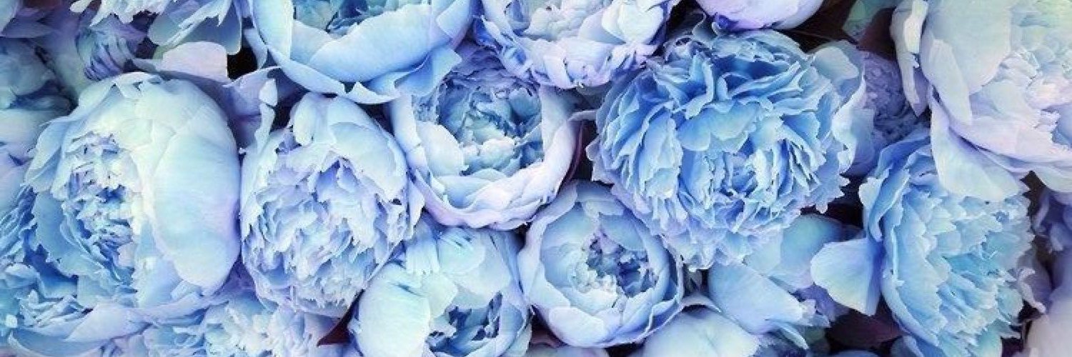 polina_h's profile banner image