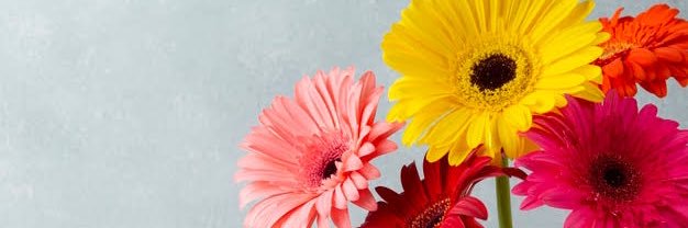 monyyflorencia's profile banner image