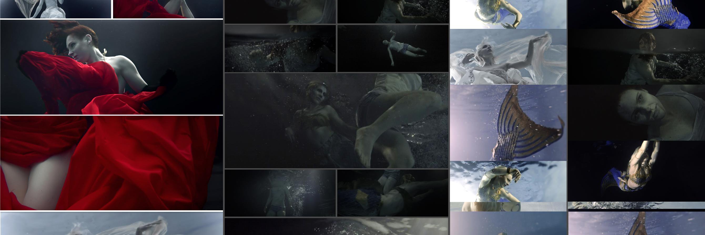 Dagmar Scheibenreif banner