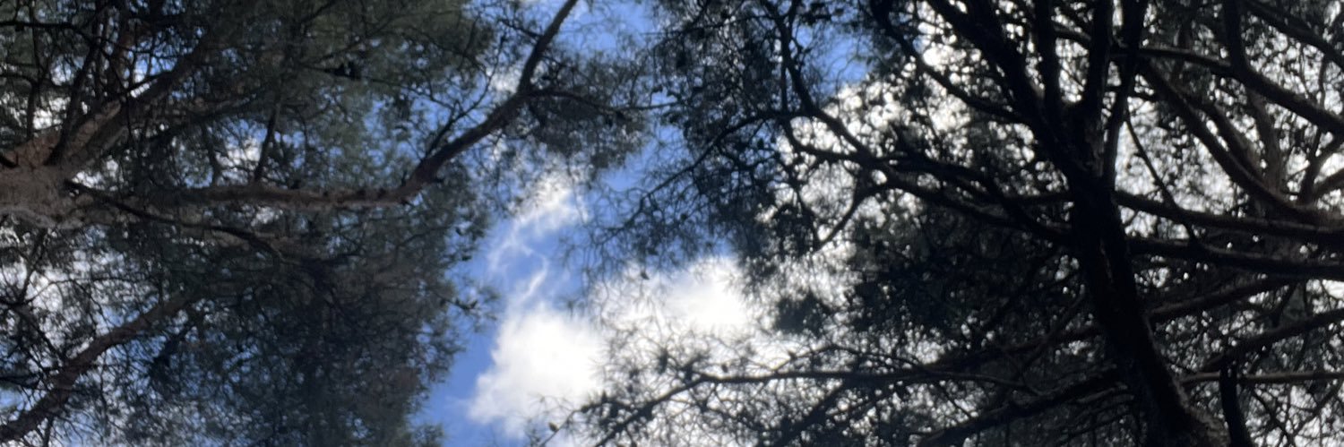 tansuarmann's profile banner image
