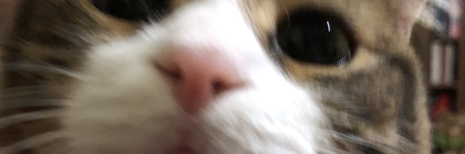 s0whatf's profile banner image
