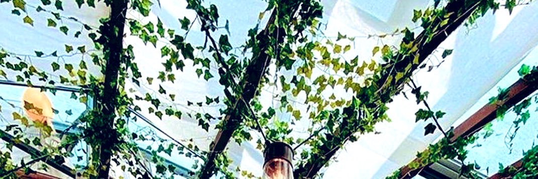 Alia banner