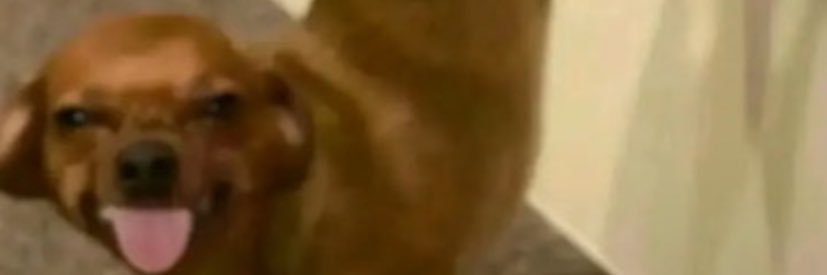 i_meeshell's profile banner image