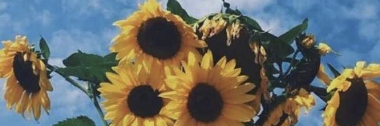 ImperfectMonroe's profile banner image