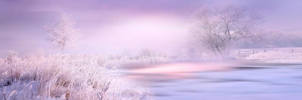 sarila24's profile banner image