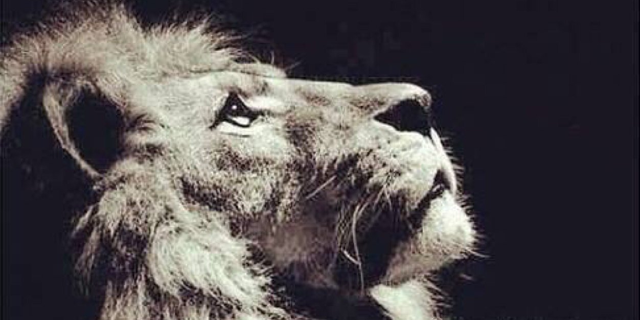 Shelby_Kaye's profile banner image