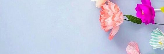 Haifa_AlShalan's profile banner image