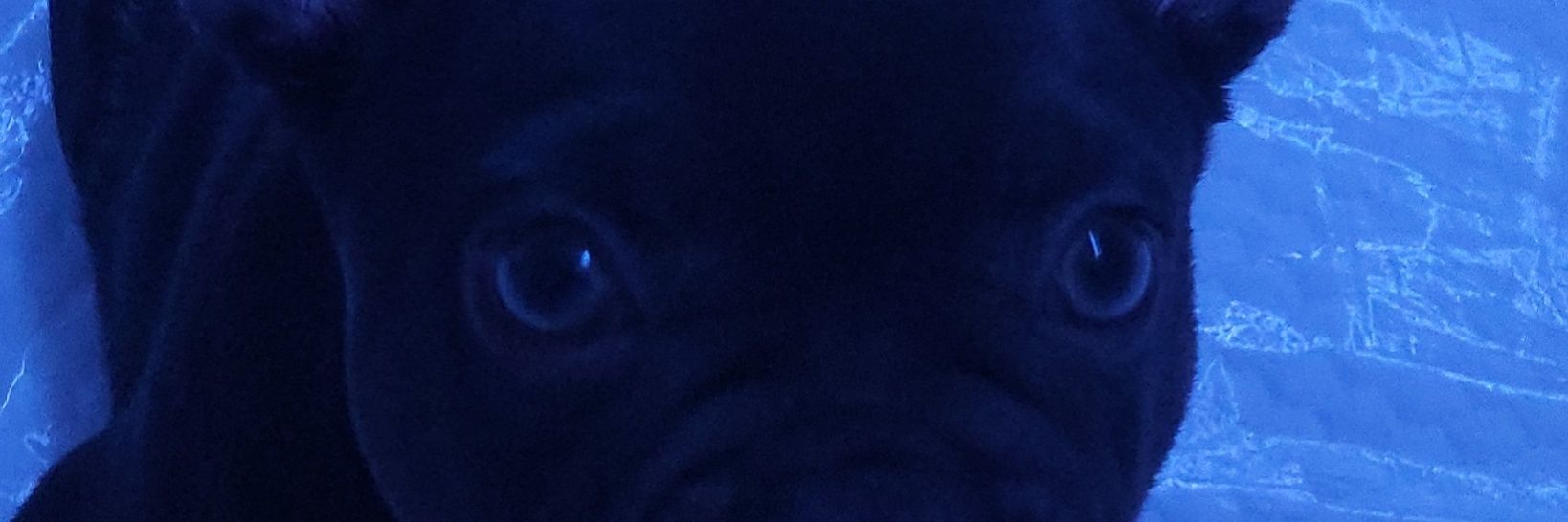 KatariTC's profile banner image