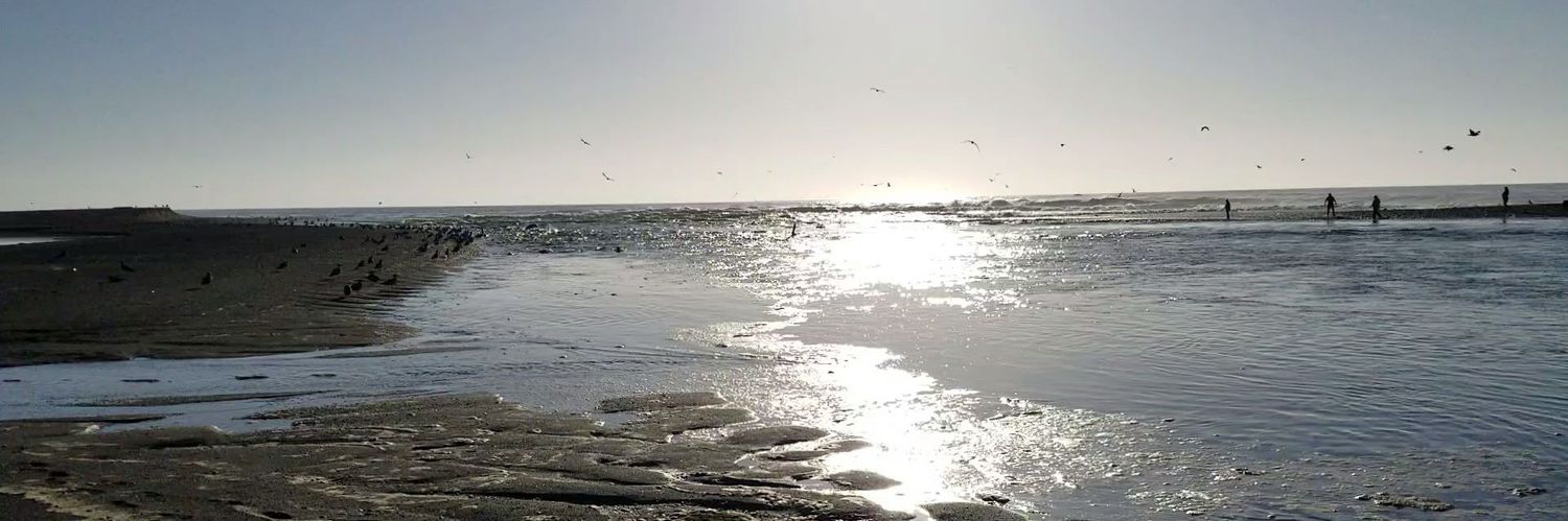 RandyRoddick's profile banner image