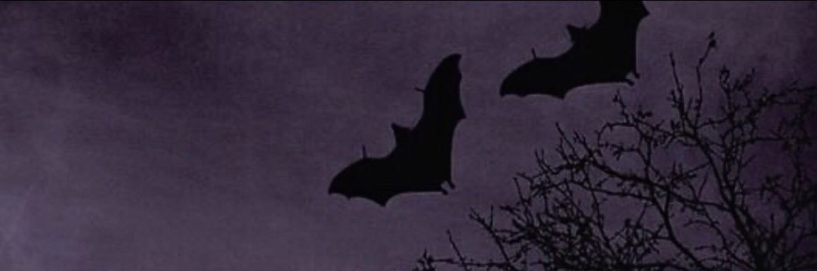 ཐིᗢཋྀ euan 🦇 banner