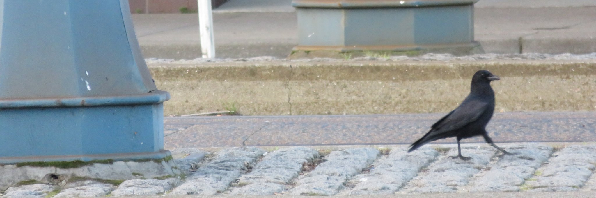 FranVitullo's profile banner image