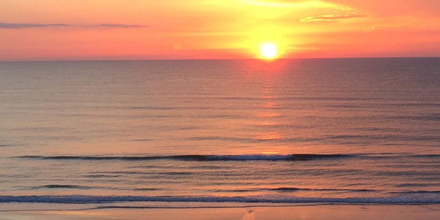ddog1009's profile banner image