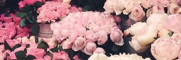 brnso's profile banner image