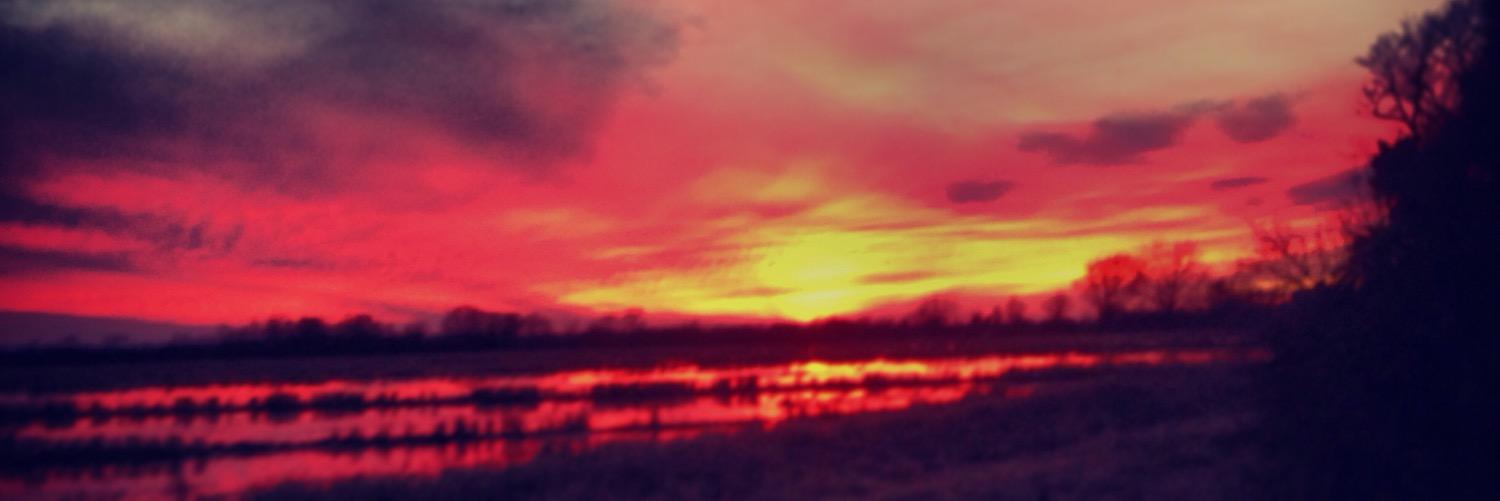CoachBTWalters's profile banner image