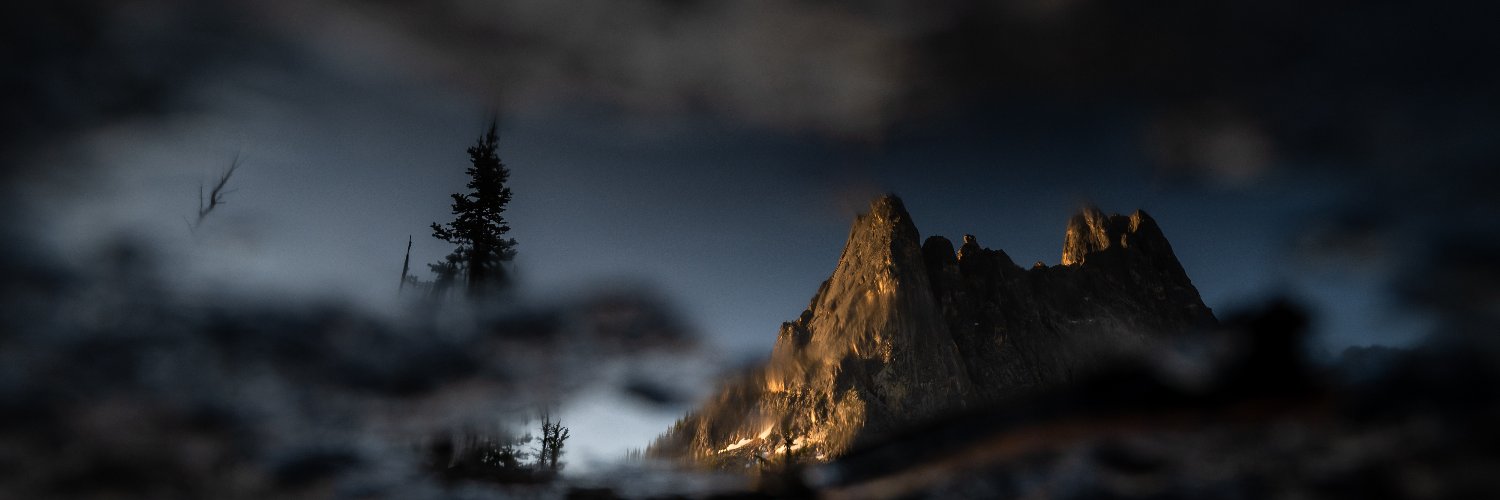 tarakerzhner's profile banner image