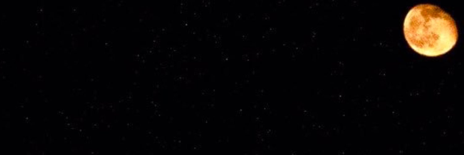 TWeathersbee13's profile banner image