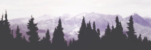 Heloise_HF's profile banner image