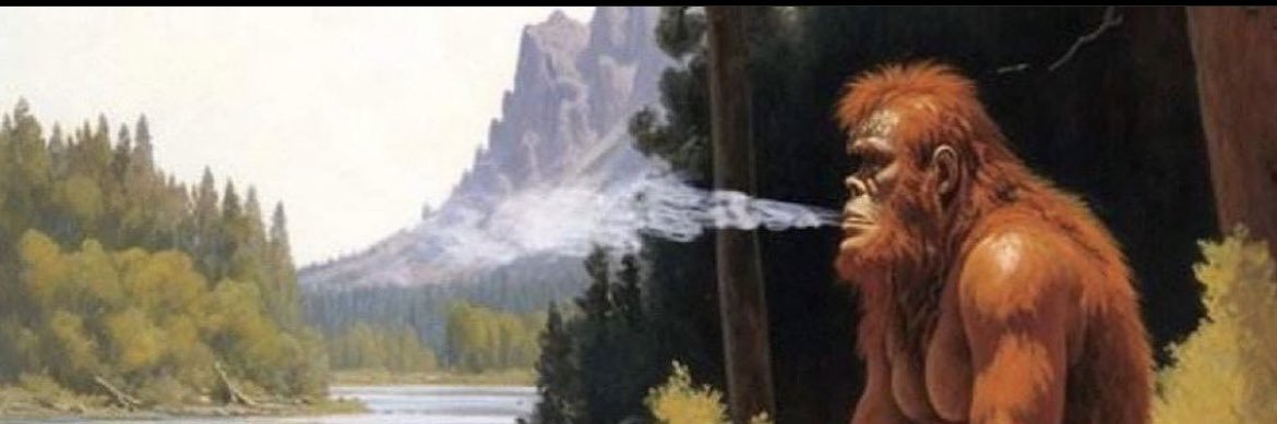 aidan_philips12's profile banner image