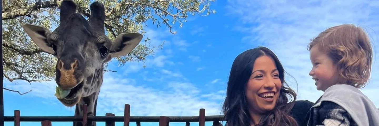 bellatx's profile banner image