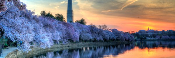 mmsERRN Profile Banner