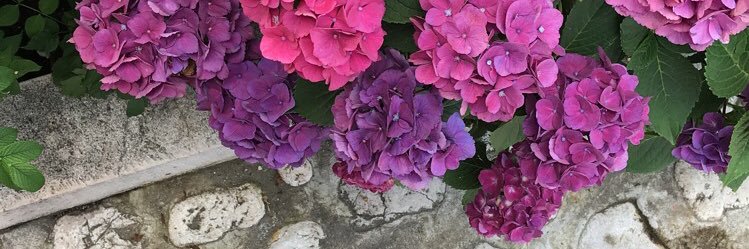 Meem_atq's profile banner image