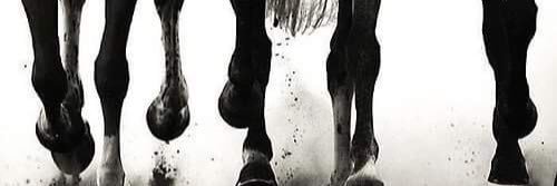 maha_khalid14's profile banner image