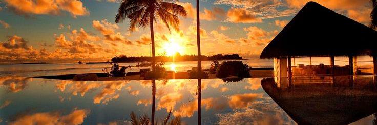 Julie Gifford 🏳️‍🌈 🇺🇦 banner