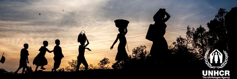 Elisabeth A. Haslund banner