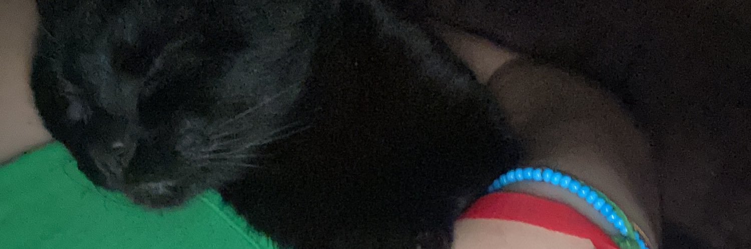 ReehPrigol's profile banner image