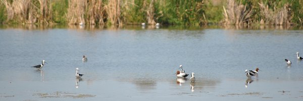 weaglebec Profile Banner
