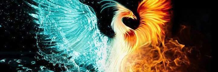 xylinapf's profile banner image
