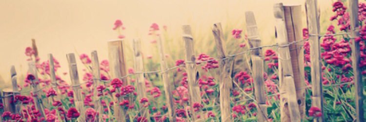 Anidelbarrio's profile banner image